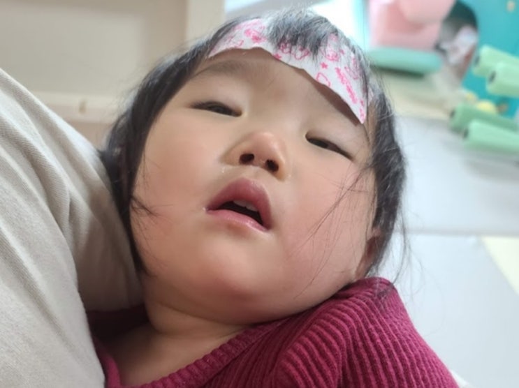  A형 B형 독감 증상 성인 유아 독감예방접종 시기
