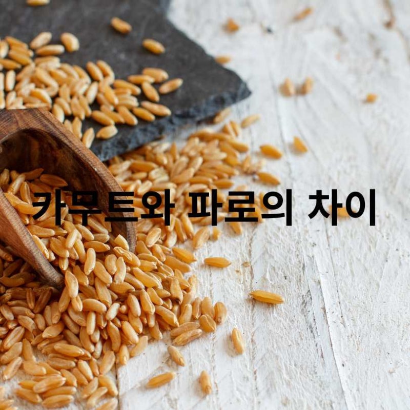 카무트와 파로의 차이, 헷갈리지 말자! 완벽 비교