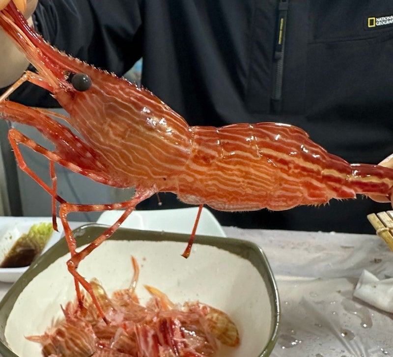 [속초 맛집] 속초에서 꼭 가야할 독도 새우 맛집 "아지트" 후기