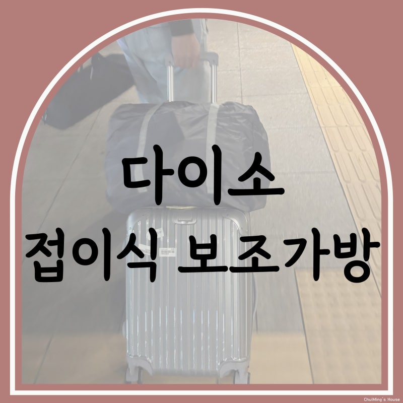 다이소 여행용 가방 기내용 캐리어 보조가방 바리바리스타 추천