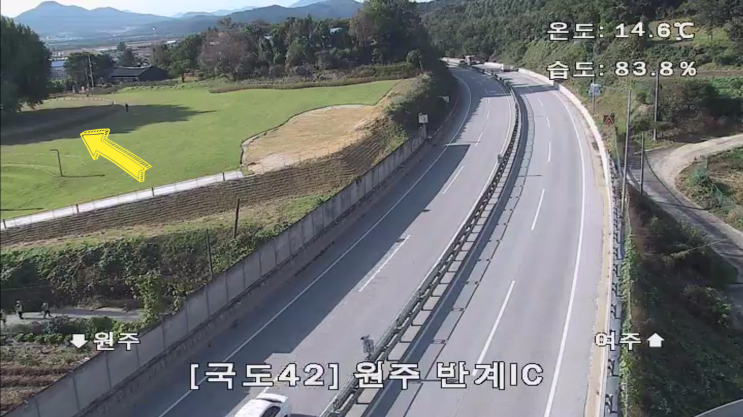 <b>반계리 은행나무</b> CCTV로 보는 2025 <b>단풍절정</b>시기, 원주... 