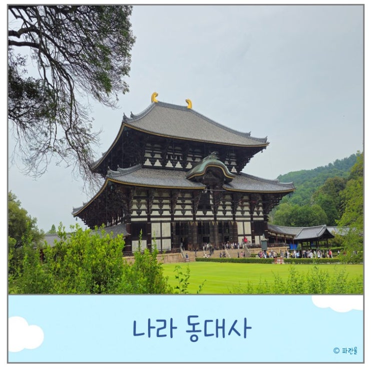  동대사 도다이지 입장료 후기 오사카 근교 나라 당일치기 여행