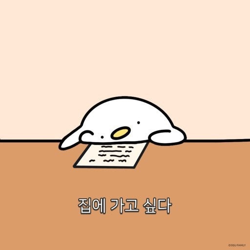  두달간의 여정. 이제 끝