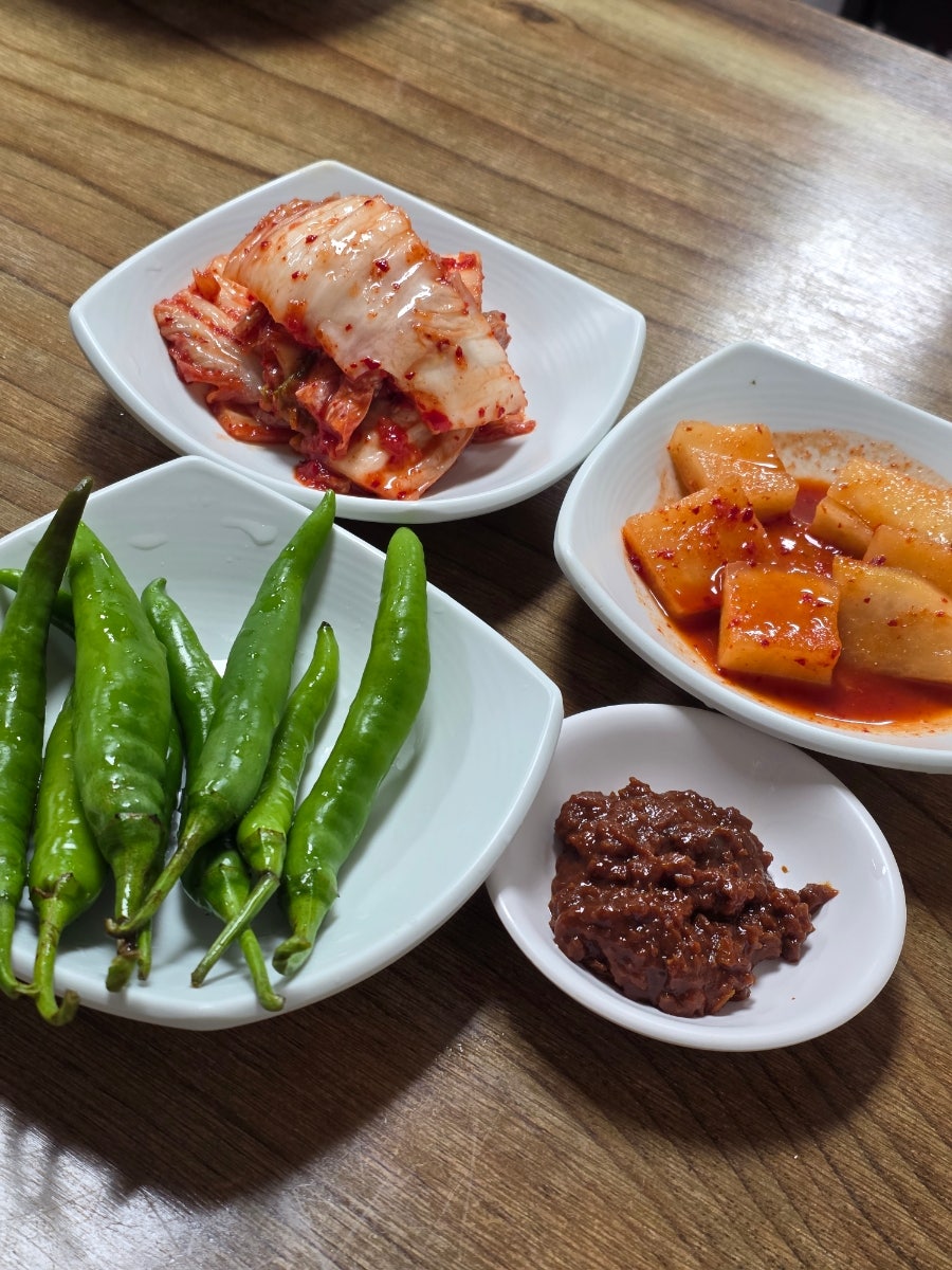 일미광 사진 5