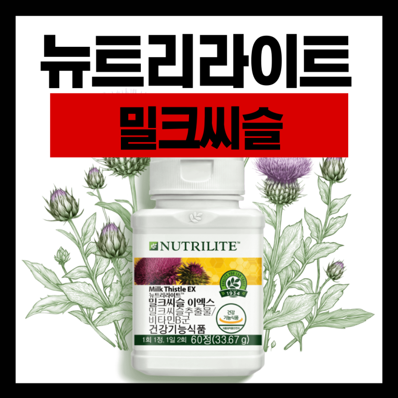 암웨이 뉴트리라이트 밀크씨슬이엑스 프로모션