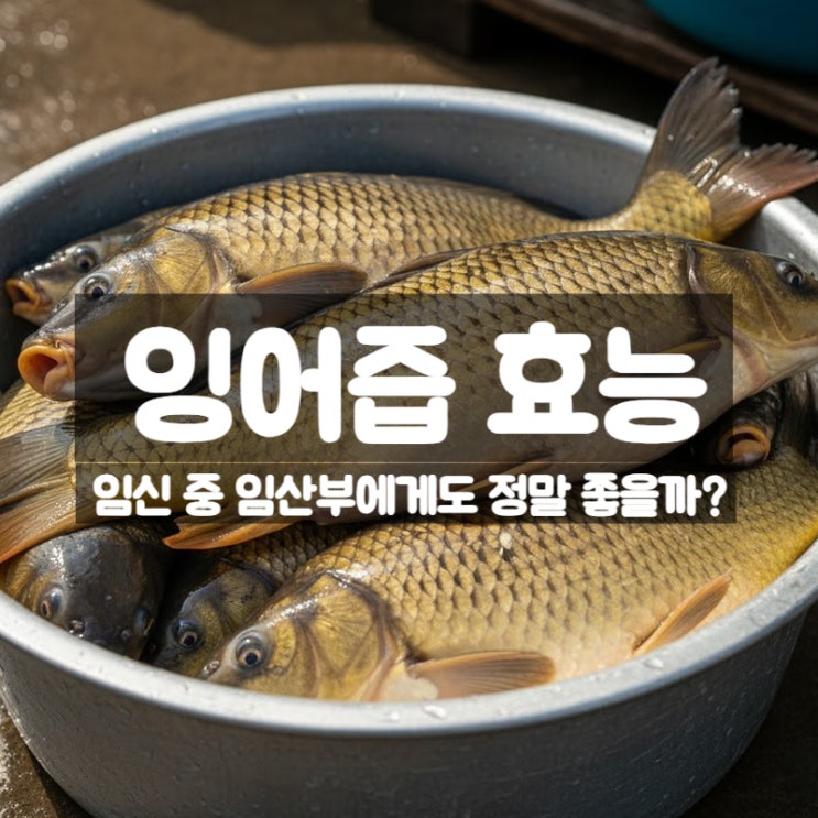  잉어즙 효능 부작용 먹는법 - 모든 임신 중 임산부에게 좋을까