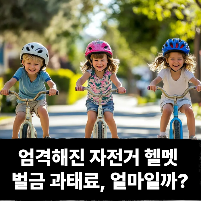  엄격해진 자전거 헬멧 벌금 과태료, 얼마일까?
