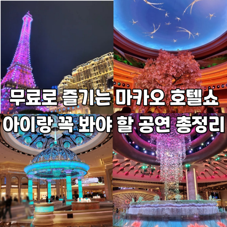  마카오 호텔 무료쇼 총정리시간·위치·관람 꿀팁까지 한눈에!
