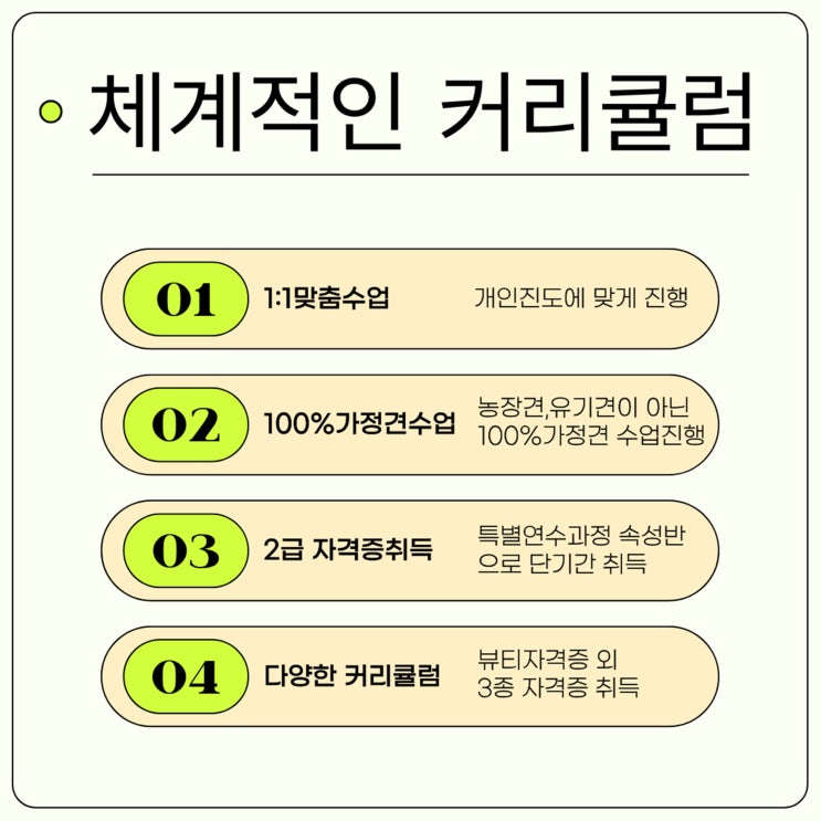  효동애견미용학원 실견 중심의 체계적인 교육으로 전문 미용사 양성
