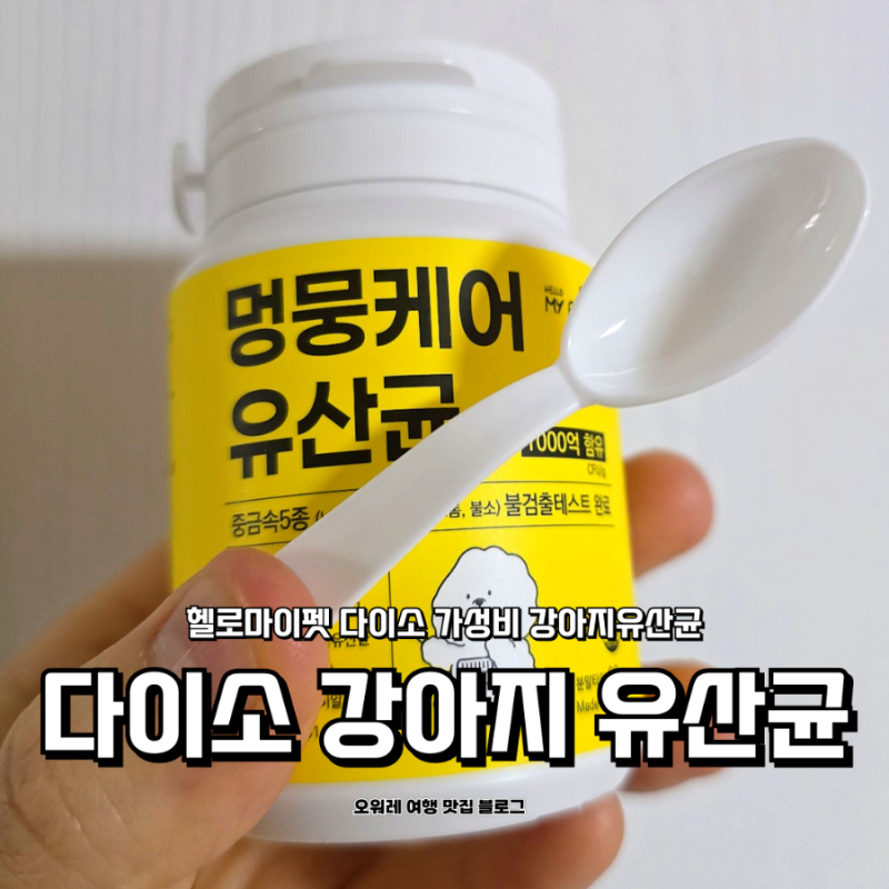 다이소 가성비 추천템 강아지 유산균,강아지영양제 멍뭉케어 장 면역 챙기기