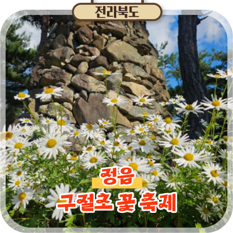  정읍 구절초축제 쌍화차거리 포함 농뚜레일 원데이 가을여행