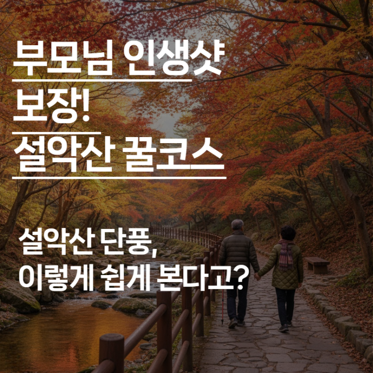  "무릎 아픈 부모님도 대만족!" 등산 없이 주차장에서 즐기는 2025 설악산 단풍 명소 2곳 (케이블카, 오색약수터)