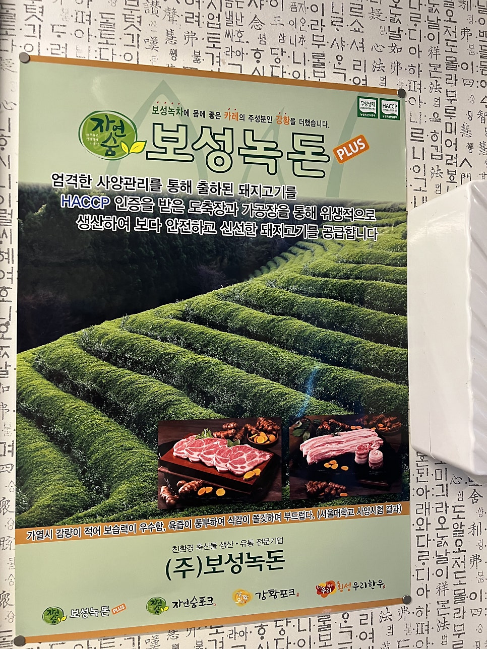 왕주먹 사진 6