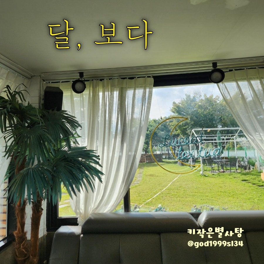 달,보다 사진 1