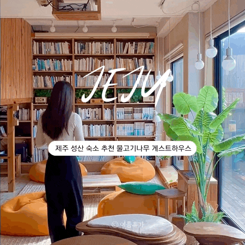  제주 동쪽 가성비 감성 숙소 물고기나무 게스트하우스 추천