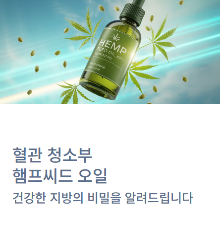  '혈관 청소부' 햄프씨드 오일 효능과 먹는 법 (CBD 오일과 차이점 총정리)
