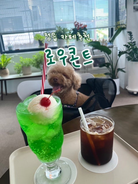 로우콘트