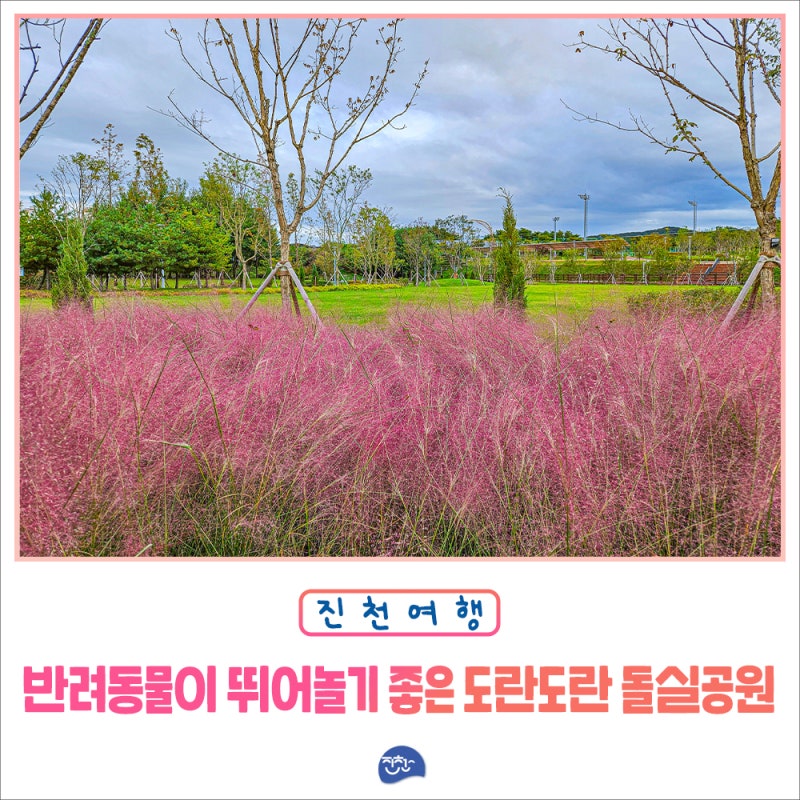 사진 4
