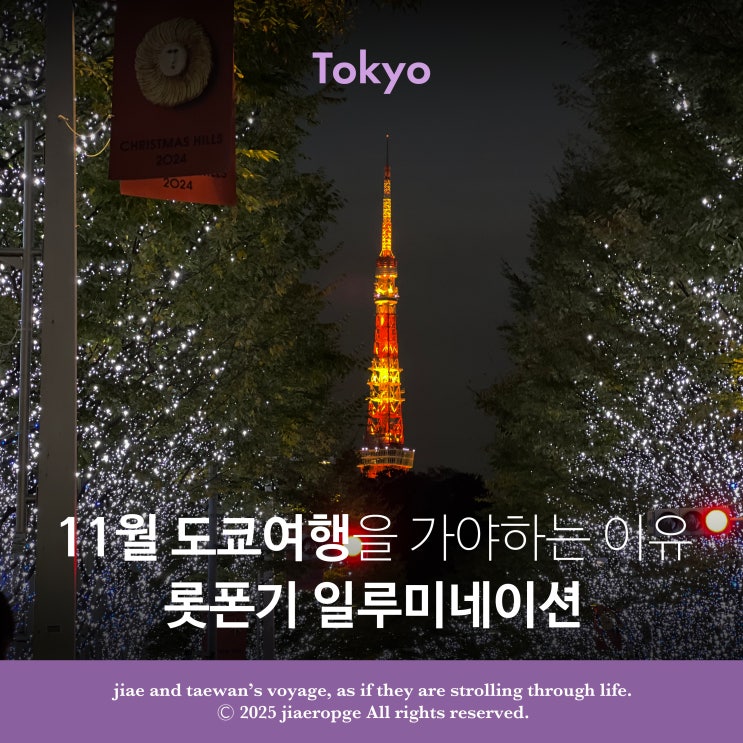  롯폰기 일루미네이션 11월 도쿄여행을 가야하는 이유