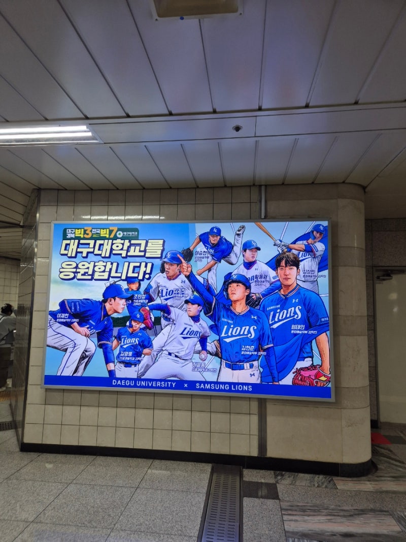 삼성라이온즈 김지찬 응원가 플옵직관