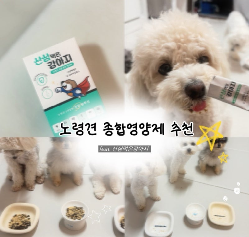 노령견종합영양제 &기호성좋은강아지영양제 산삼먹은강아지