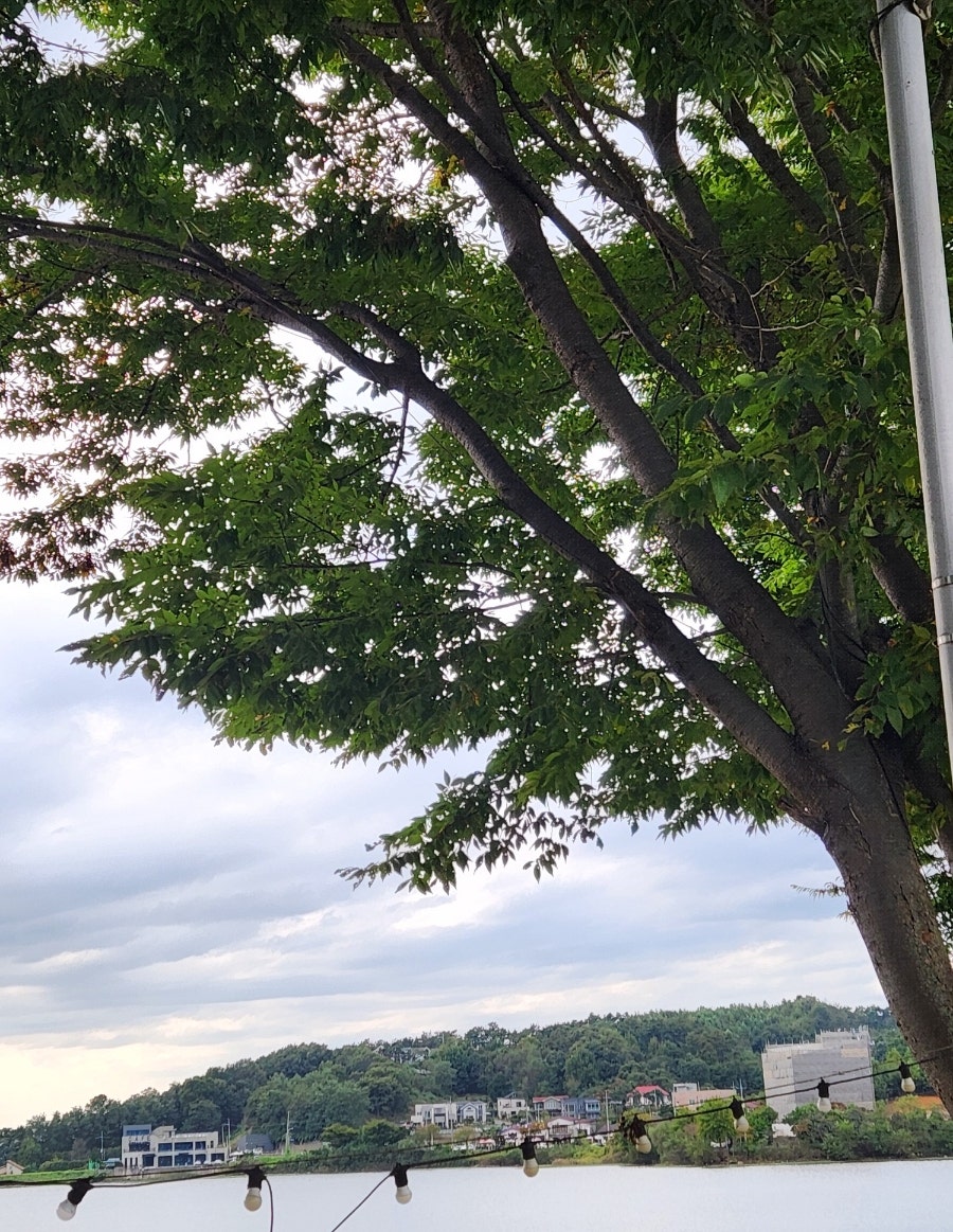 달,보다 사진 4