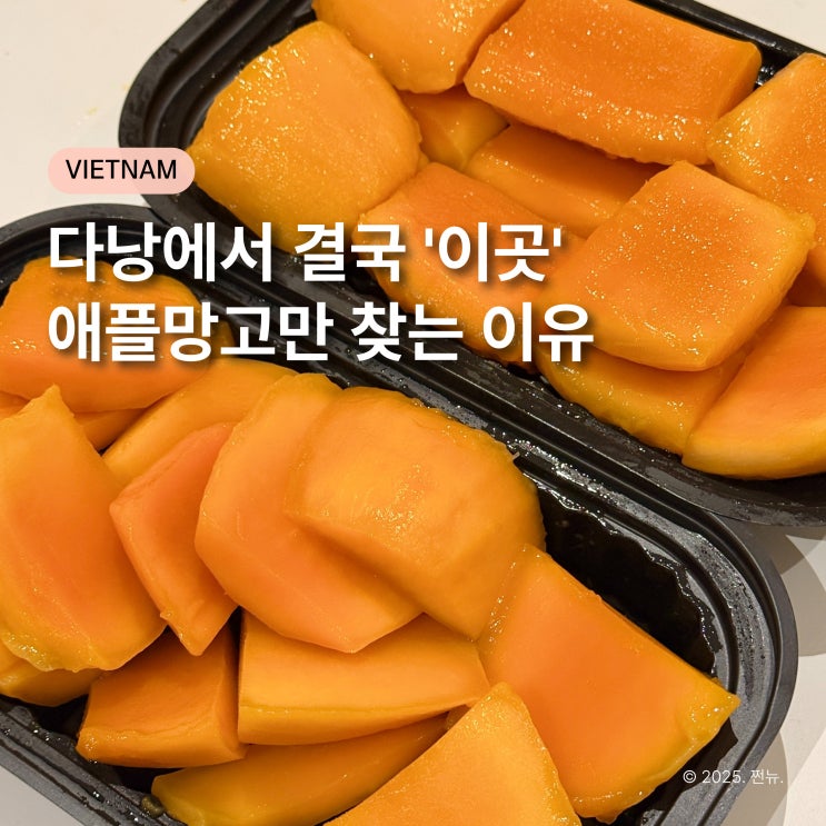  다낭 유가네과일 VS 미미프루츠 애플망고 비교해 보니.. '의외의 승자'는?