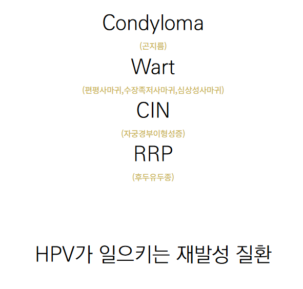 HPV바이러스 68, 16, 18, 52, 58, 53 원인과 증상, 치료 방법까지