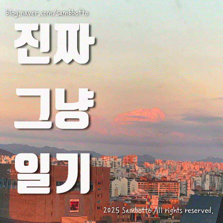  진짜 그냥 일기 | 어느 직장인 아줌마의 평범한 날