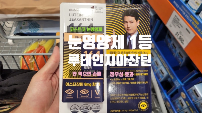 코스트코 루테인 뉴트리원 지아잔틴164 눈에 영양을