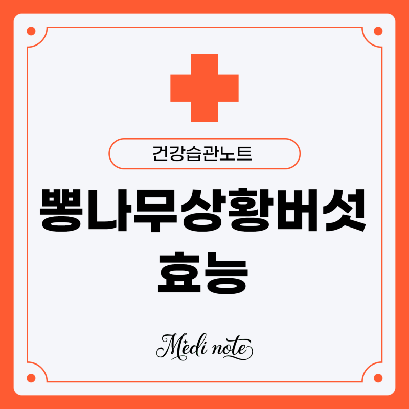뽕나무상황버섯 제대로 알고 건강하게 즐기기: 효능, 먹는 법, 선택 가이드