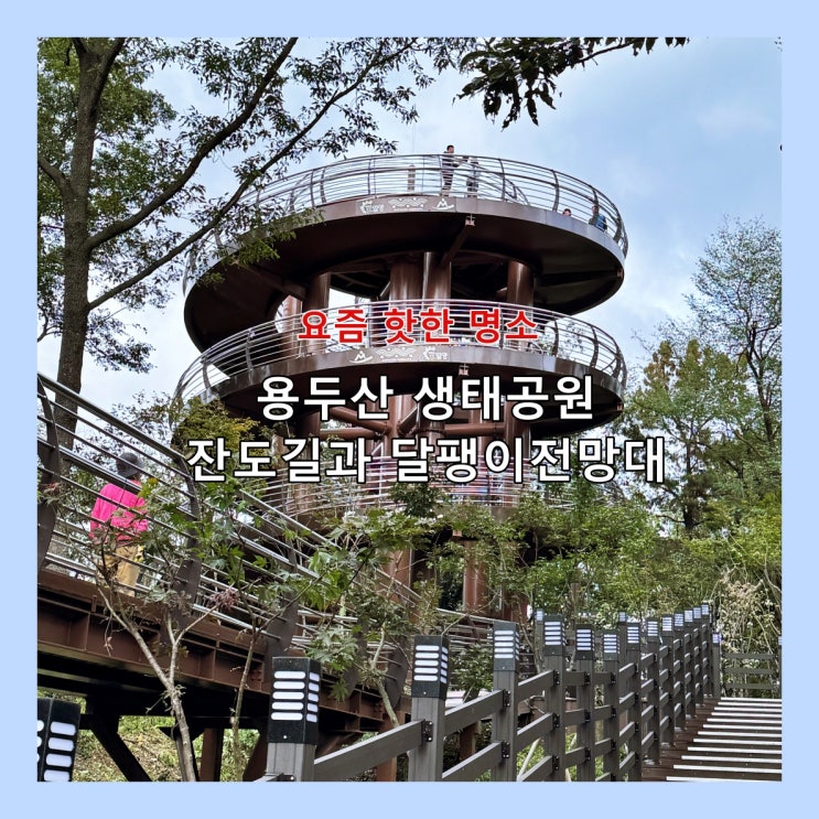  [밀양] 요즘 핫한 명소, 용두산 생태공원 잔도길과 달팽이전망대