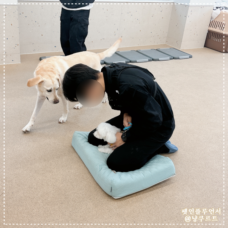 사진 4