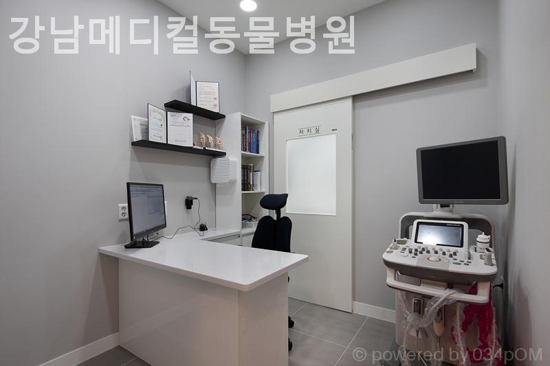 강남메디컬동물병원 사진 4