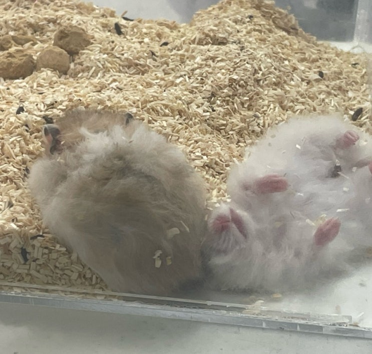 가을 삭제 중인 10월에 별일 없이 산다