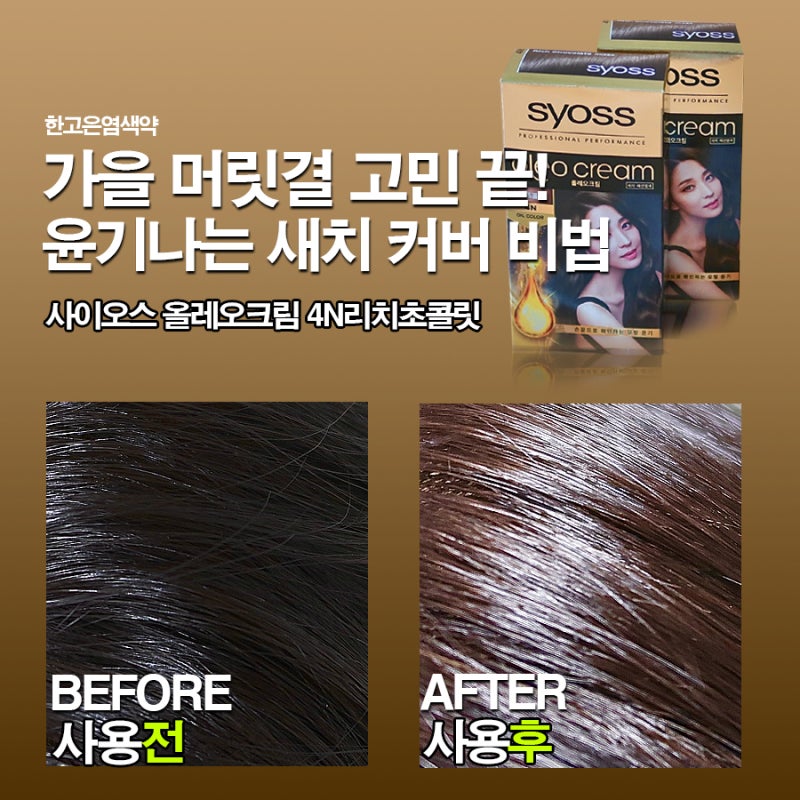 한고은염색약으로 찾은 인생 새치염색약 4N리치초콜릿 염색약 추천