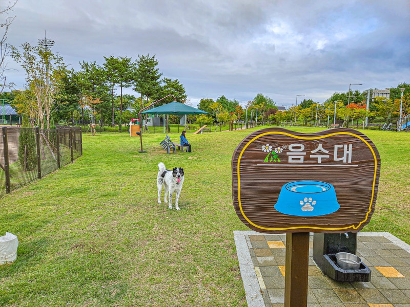 사진 3