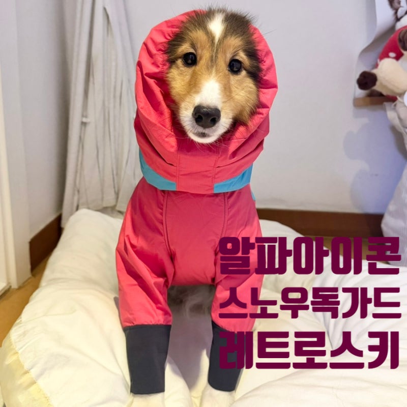 알파아이콘 스노우독가드 사이즈 1L 레트로스키 피치앤크림 구매처