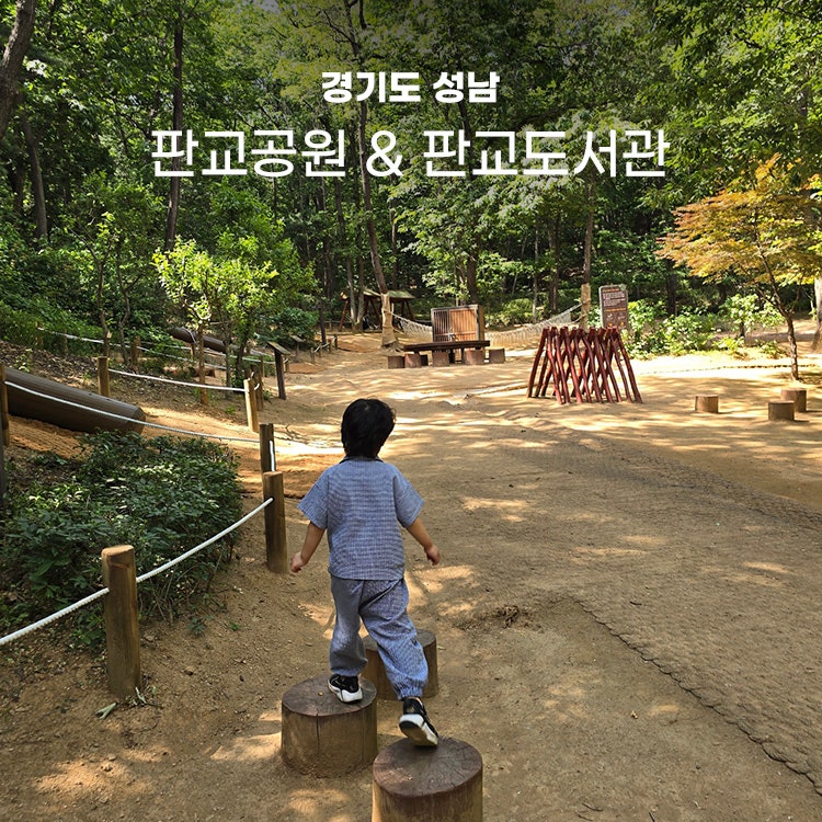 분당 아이와 가볼만한곳 판교공원 숲체험 판교도서관
