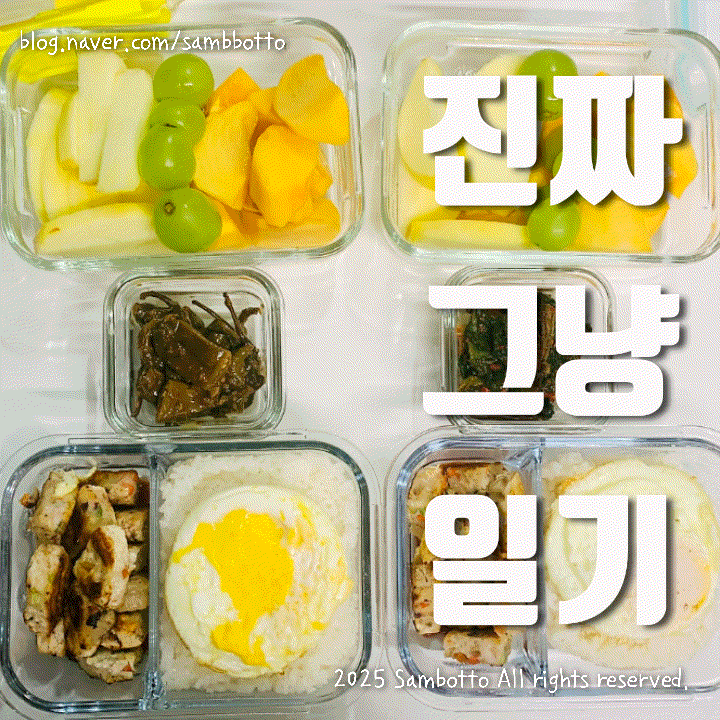  진짜 그냥 일기 | 긴 글 주의 일기.(왕밀린 방학숙제 느낌, 추억 정리, 맛집 정리)