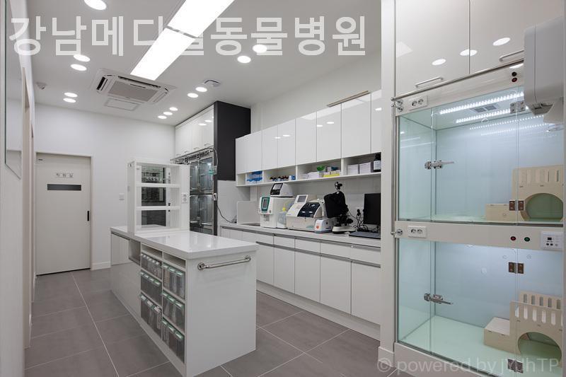 강남메디컬동물병원 사진 6