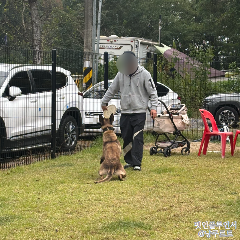 사진 5
