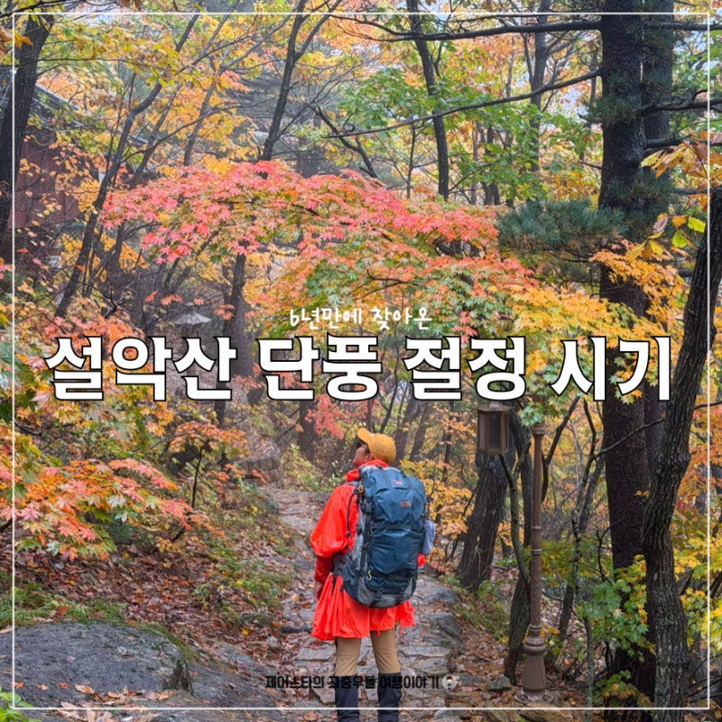 설악산 단풍 절정 시기 한계령 백담사 봉정암 천불동계곡 소청대피소 예약 등산코스