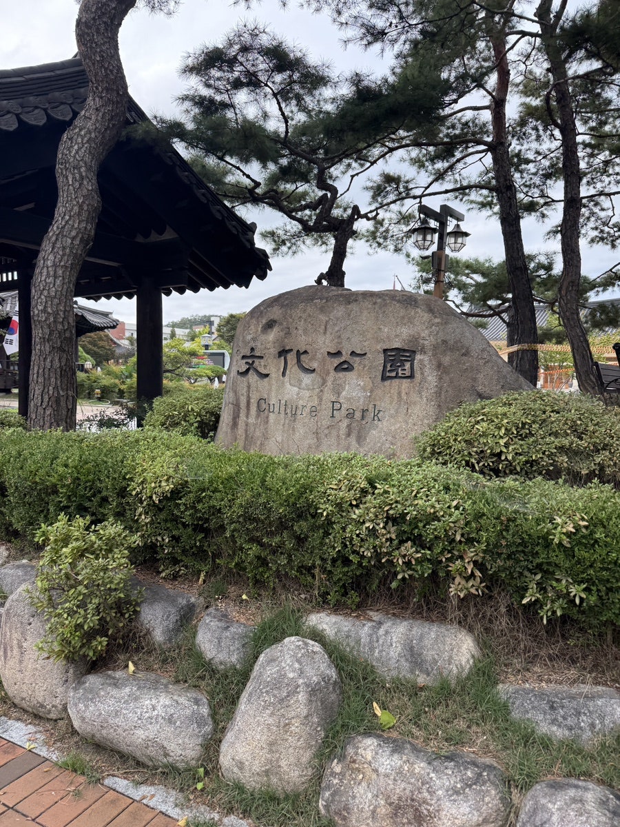 오묘한인식 사진 4