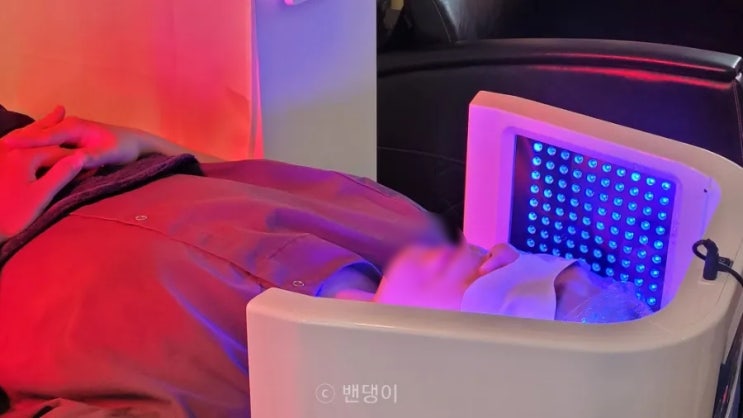 화성남양두피관리 두피밥 유기농 두피관리 과정 상세후기