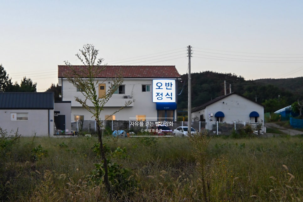 오반정식 사진 1