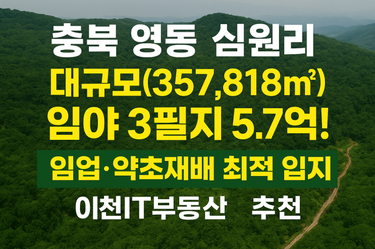  충북 영동군 심원리 임야 3필지 매매 — 총 35만 규모, 5.7억 투자 분석