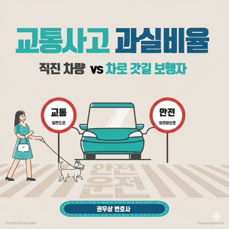 [차 대 사람] 차도 가장자리를 걷던 보행자를 주행 중이던 차량이 충격한 경우, 과실비율은? 관련 이미지 1