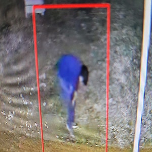 실종경보(최진원)