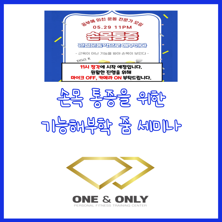  손목 통증 기능해부학 줌 세미나